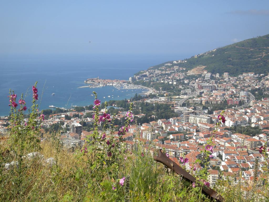 Apartment-hotel Petrovic-becici * Budva